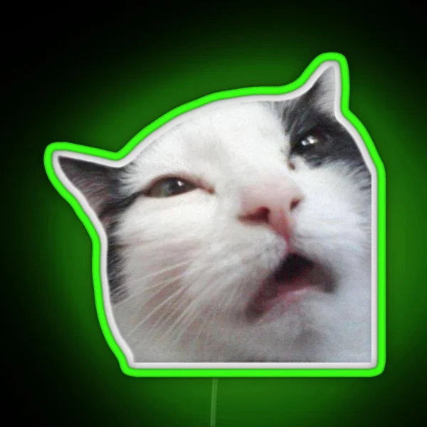 Uncomfortable Cat RGB Neon Sign