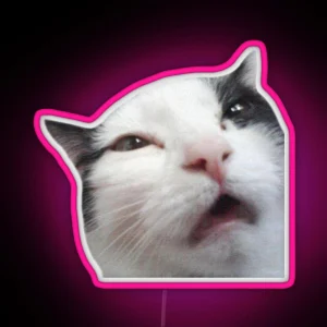 Uncomfortable Cat RGB Neon Sign