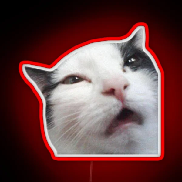 Uncomfortable Cat RGB Neon Sign