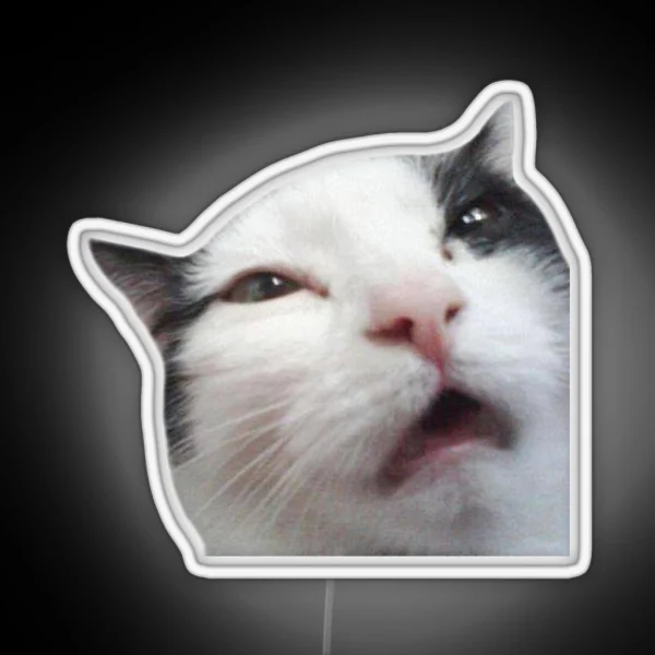 Uncomfortable Cat RGB Neon Sign