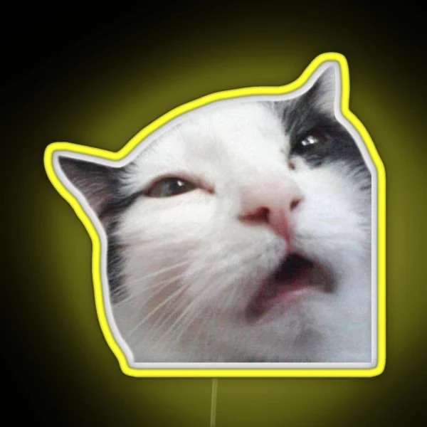 Uncomfortable Cat RGB Neon Sign
