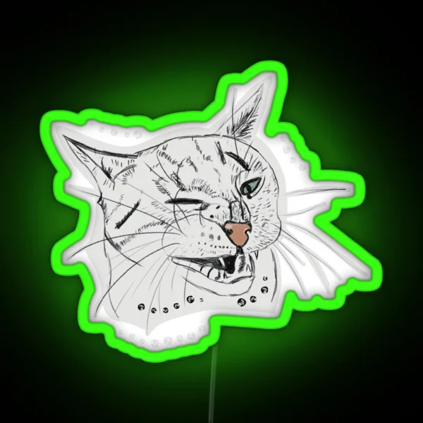 Unhappy Cat RGB Neon Sign