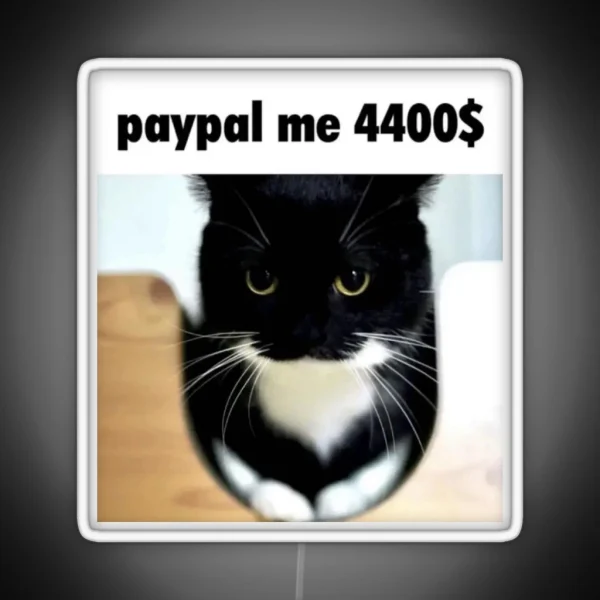 Unico Uni Funny Cat Meme RGB Neon Sign