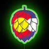 Colorado Craft Beer Inspired RGB Neon Sign Home Decor USA