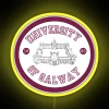 Galway University Logo Inspired RGB LED Neon Sign Illumination Decoration