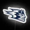 UW Stout Blue Devils spirit illuminated by vibrant blue and white.