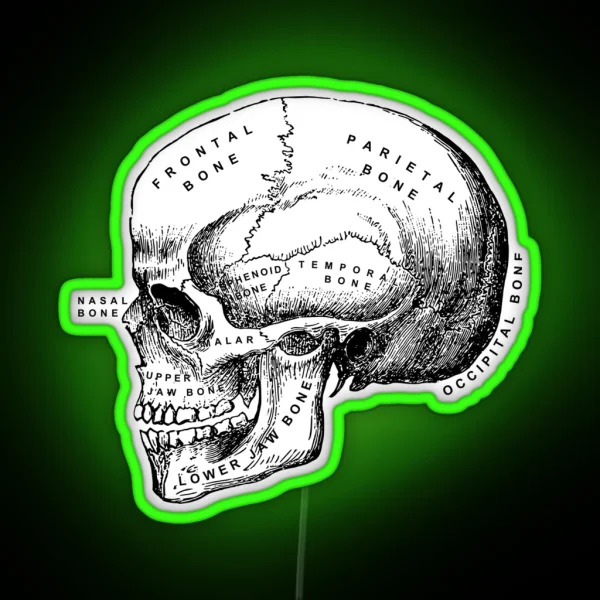 Vintage Anatomical Medical Skull Illustration RGB Neon Sign