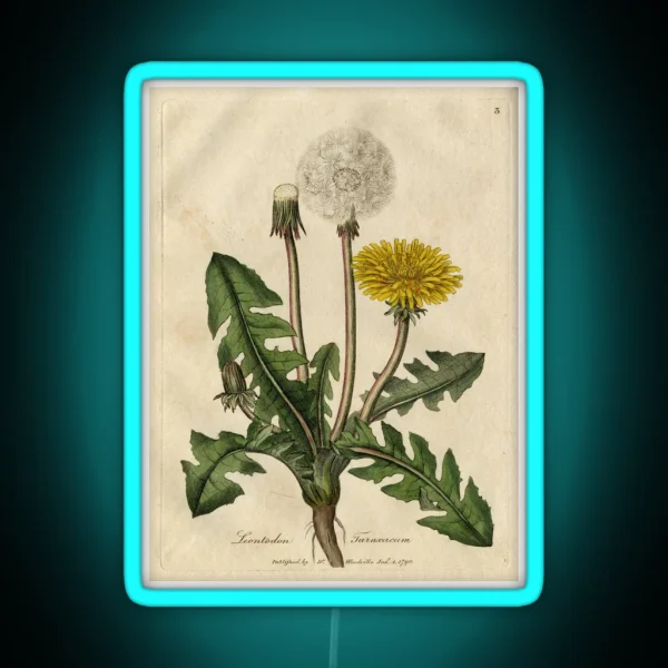 Vintage Botanical Dandelion RGB Neon Sign