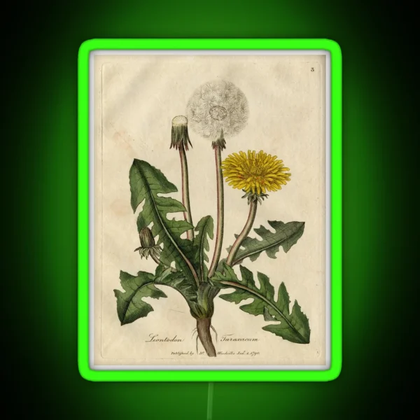 Vintage Botanical Dandelion RGB Neon Sign