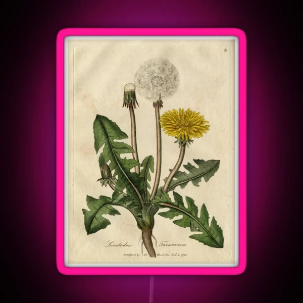 Vintage Botanical Dandelion RGB Neon Sign