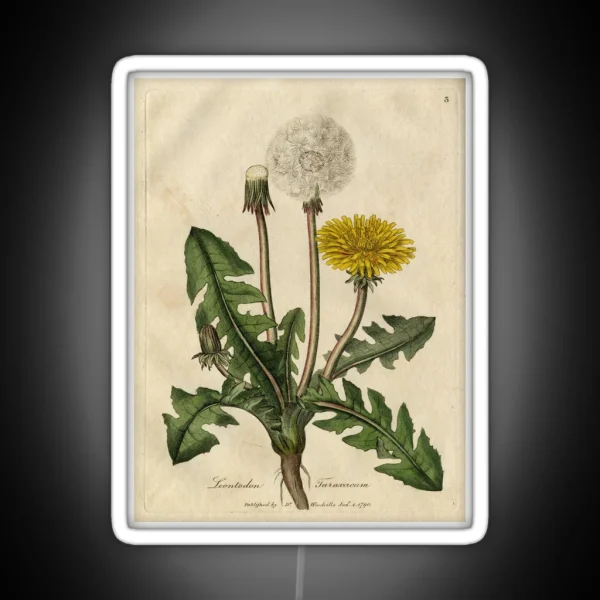 Vintage Botanical Dandelion RGB Neon Sign