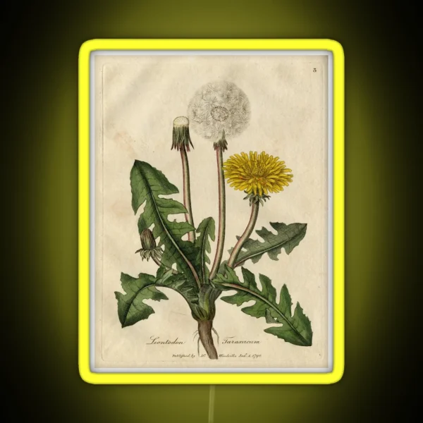 Vintage Botanical Dandelion RGB Neon Sign