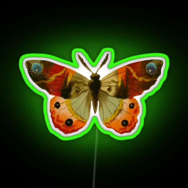 Vintage Butterfly RGB Neon Sign