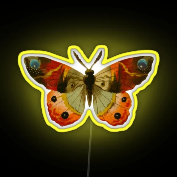 Vintage Butterfly RGB Neon Sign