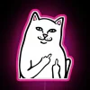 Vintage inspired cat holding middle finger with colorful RGB lighting