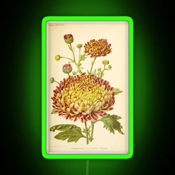 Vintage Chrysanthemum RGB Neon Sign