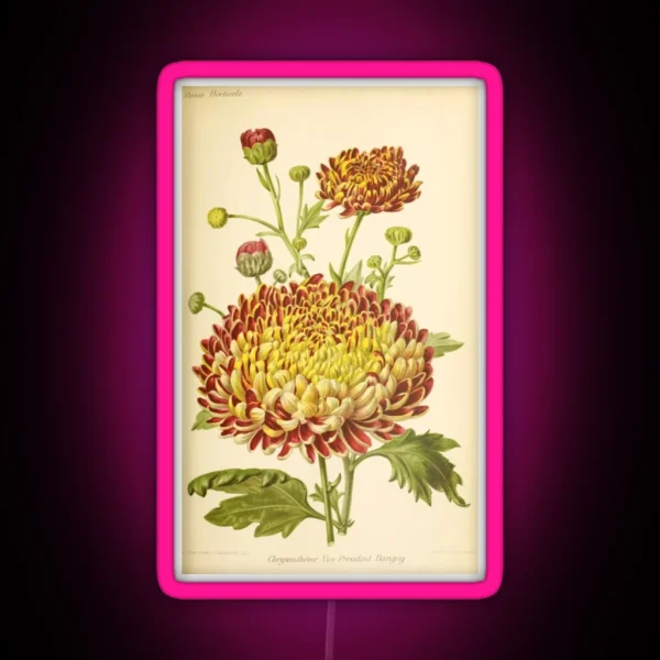 Vintage Chrysanthemum RGB Neon Sign
