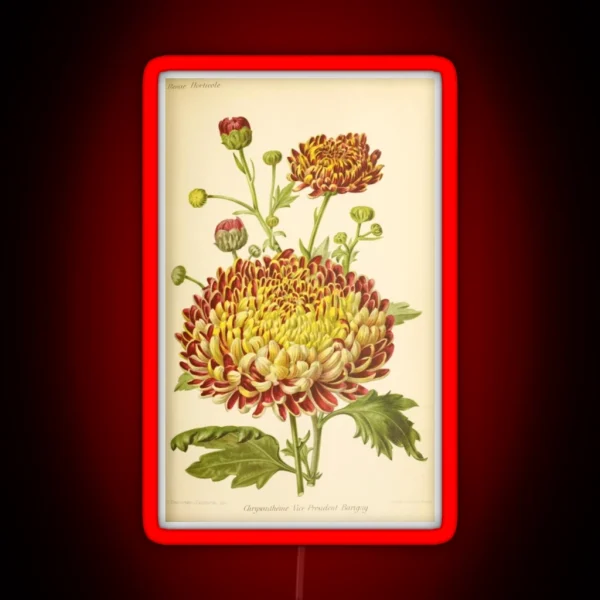 Vintage Chrysanthemum RGB Neon Sign