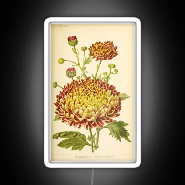 Vintage Chrysanthemum RGB Neon Sign