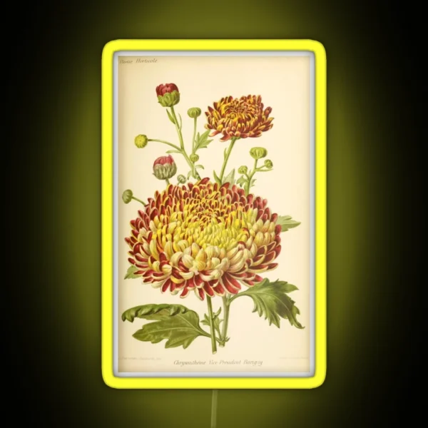 Vintage Chrysanthemum RGB Neon Sign