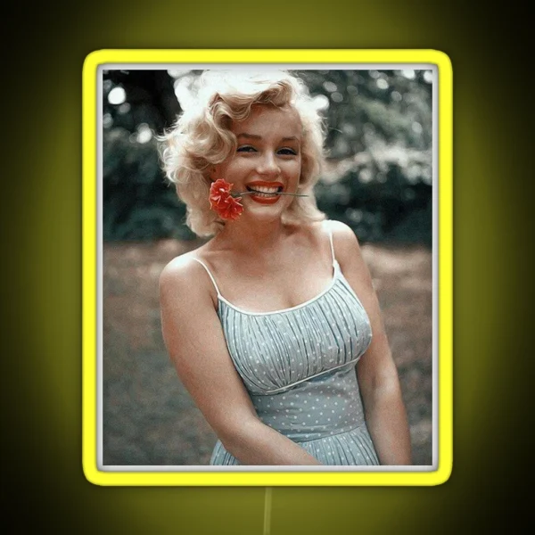 Vintage Marilyn Monroe Photography RGB Neon Sign