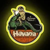 Retro Inspired RGB LED Sign with Tropical Monkey and Gator