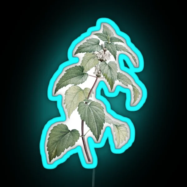Vintage Nettle Illustration RGB Neon Sign