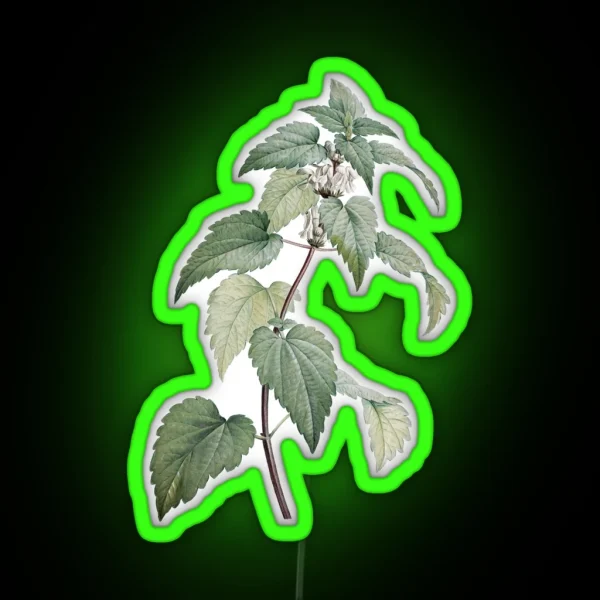 Vintage Nettle Illustration RGB Neon Sign