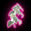 RGB Led Canvas Sign with Hand-Drawn Nettle Illustration Design