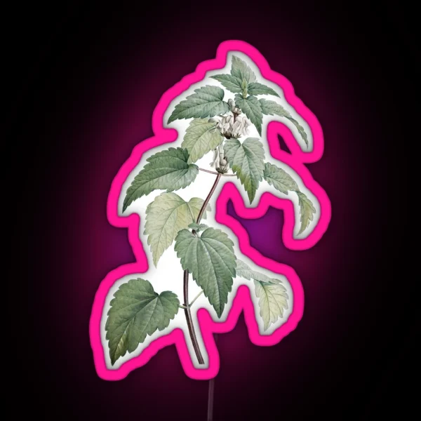 Vintage Nettle Illustration RGB Neon Sign