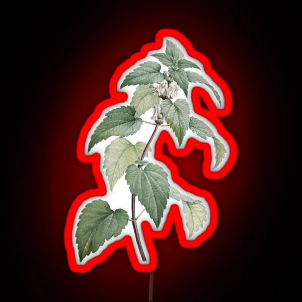 Vintage Nettle Illustration RGB Neon Sign