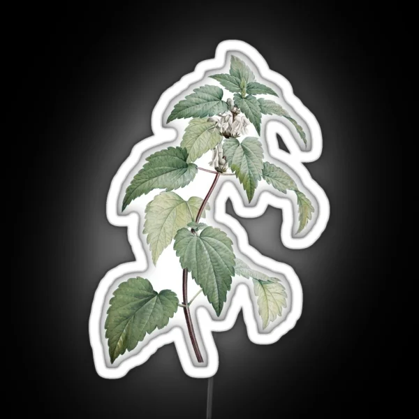 Vintage Nettle Illustration RGB Neon Sign