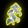 Unique hand-drawn vintage botanical art LED neon sign display