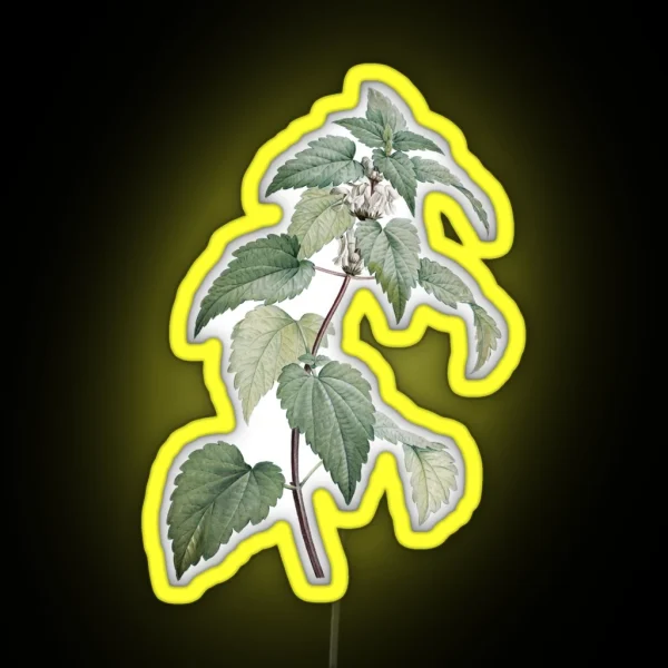 Vintage Nettle Illustration RGB Neon Sign