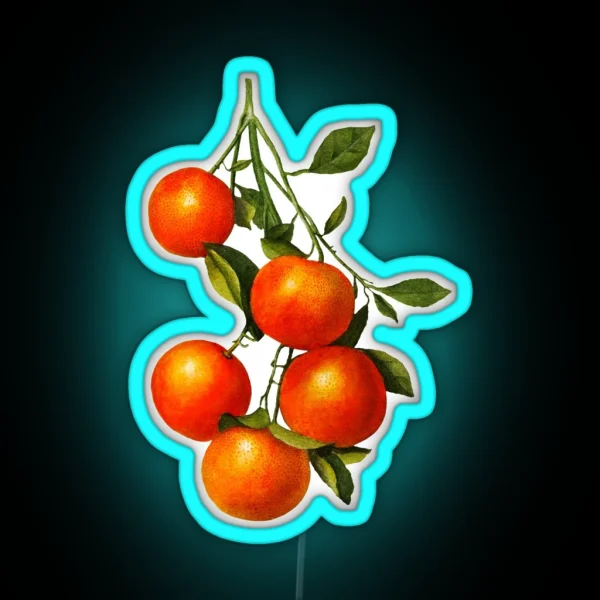 Vintage Oranges Botanical Illustration RGB Neon Sign