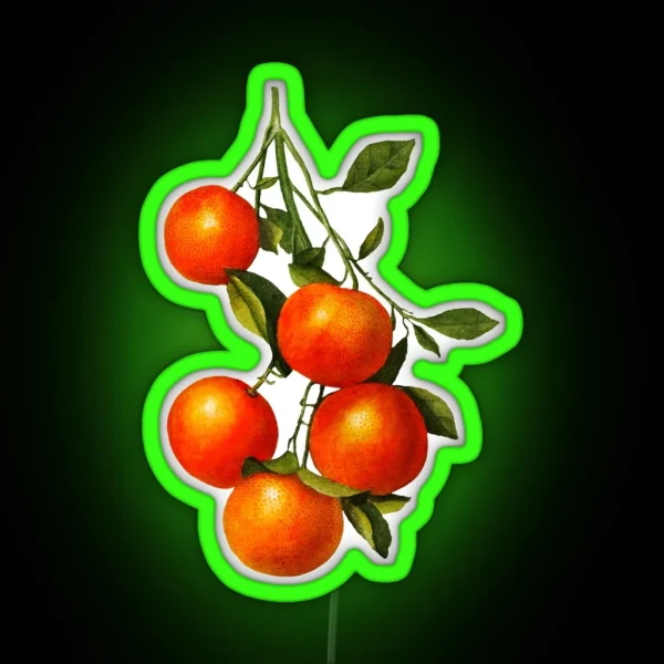 Vintage Oranges Botanical Illustration RGB Neon Sign
