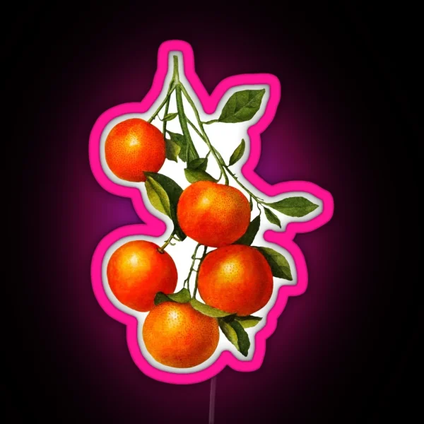 Vintage Oranges Botanical Illustration RGB Neon Sign