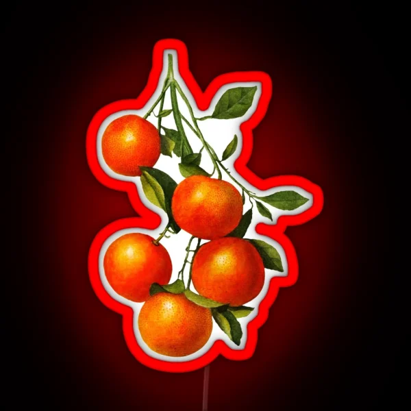 Vintage Oranges Botanical Illustration RGB Neon Sign