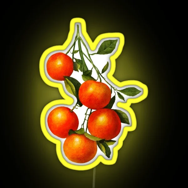 Vintage Oranges Botanical Illustration RGB Neon Sign
