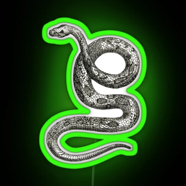 Vintage Snake Illustration RGB Neon Sign