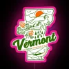 Vibrant Customizable RGB Neon Sign for Vermont Home Decor Enthusiasts