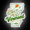 Vintage-inspired neon sign adds retro charm to any Vermont room.