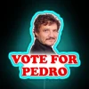 RGB illuminated 'Vote For Pedro' inspired by The Last of Us
