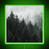 Whimsical Enchanted Forest Scene with Cascadian Tree Glow in Neon Light