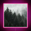 Enchanting Fairy Tale Scene with Vibrant Cascadian Trees in Mist