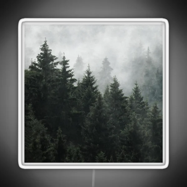 Waiting For Misty Foggy Fairytale Forest With RGB Neon Sign