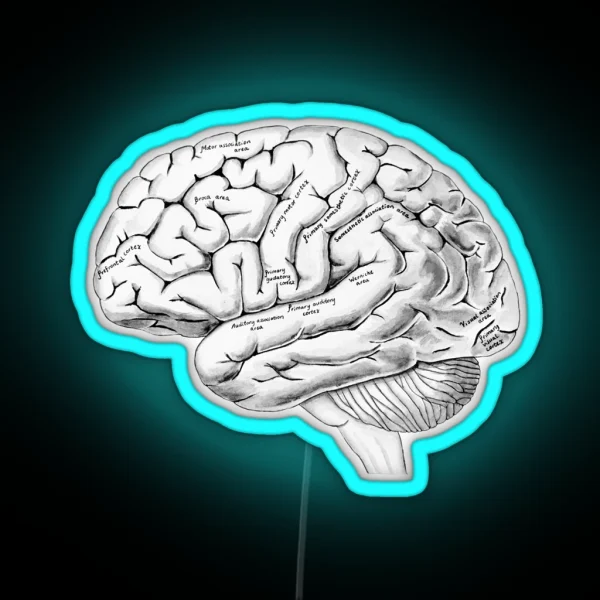 Watercolor Anatomical Brain RGB Neon Sign