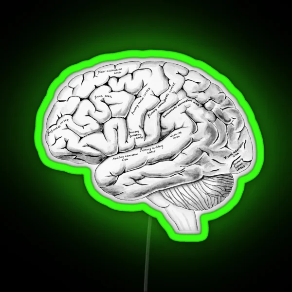 Watercolor Anatomical Brain RGB Neon Sign