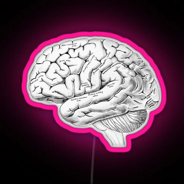 Watercolor Anatomical Brain RGB Neon Sign