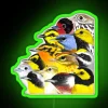 Vibrant wave of colorful warbler birds in radiant RGB neon lighting.